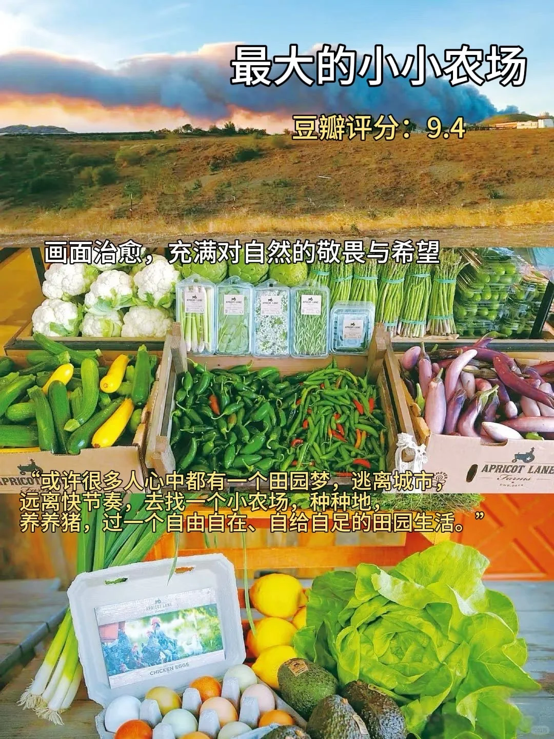 治愈系电影推荐，看完心情瞬间变好