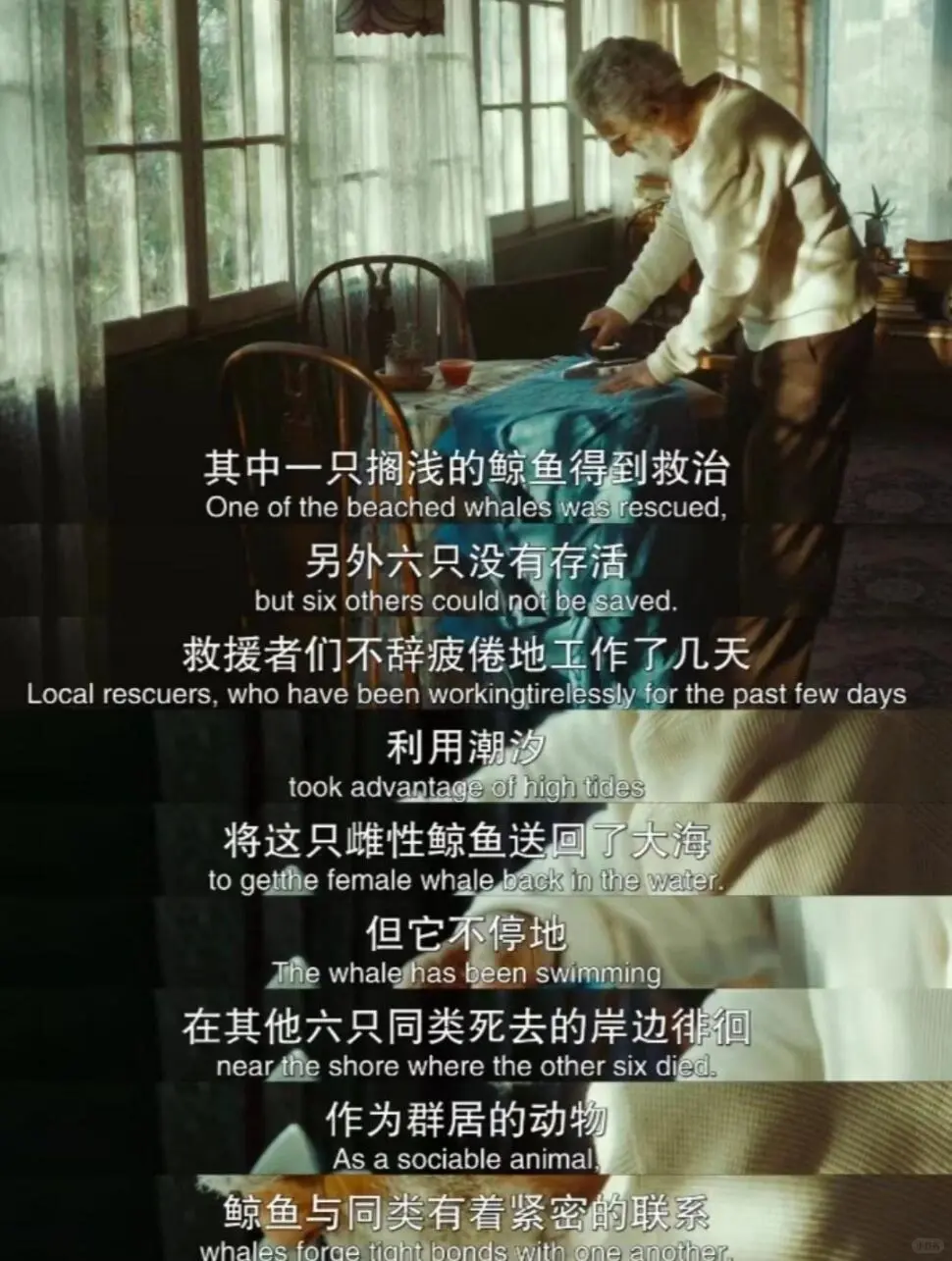 向全世界安利这部后劲最大的电影😭没有之一