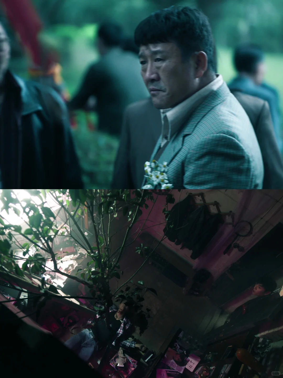 开局高能❗️胸口插大树❗️悬疑剧鲨疯了