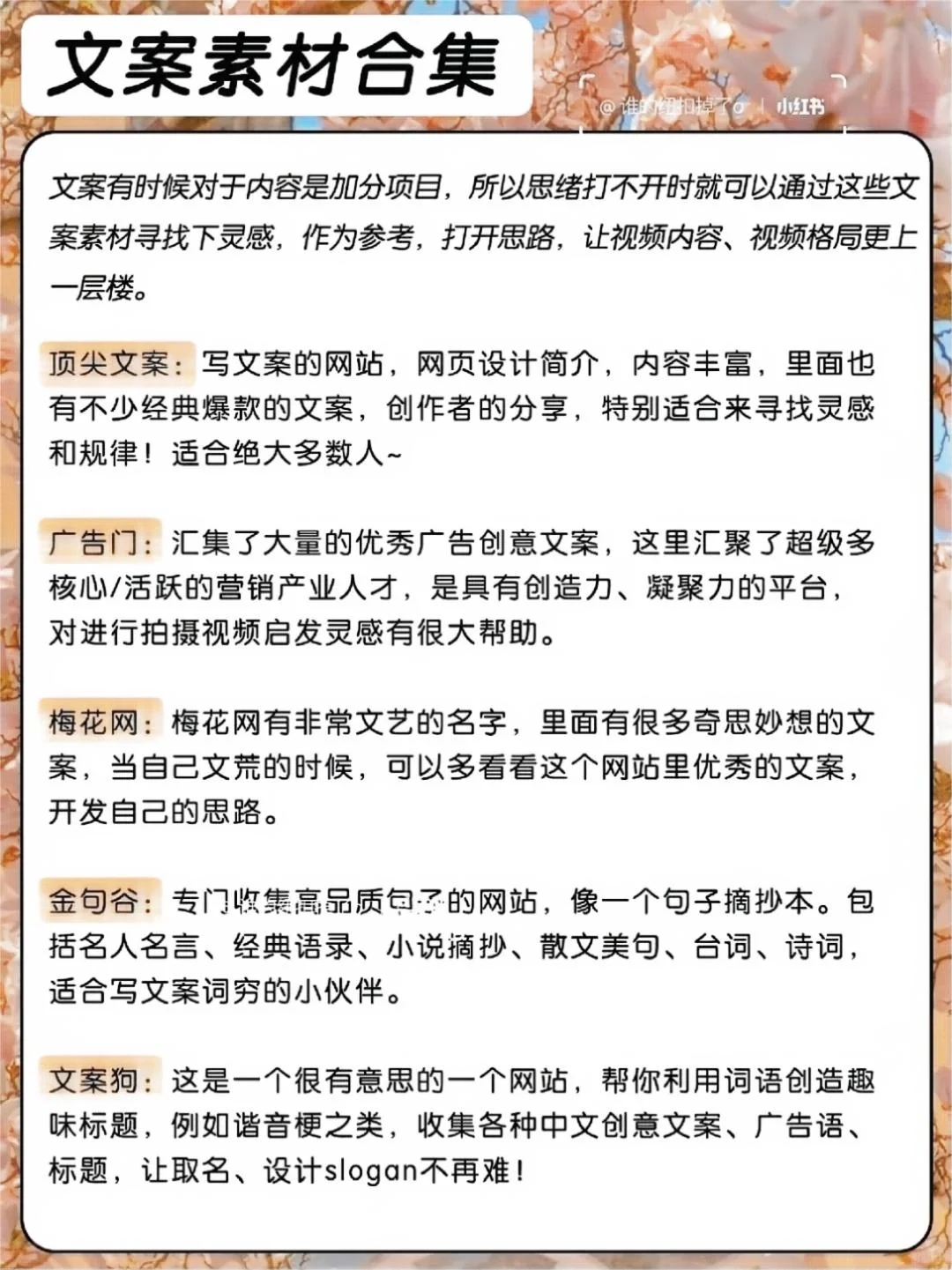 ‼我不允许你还没有这些自媒体人常用网站