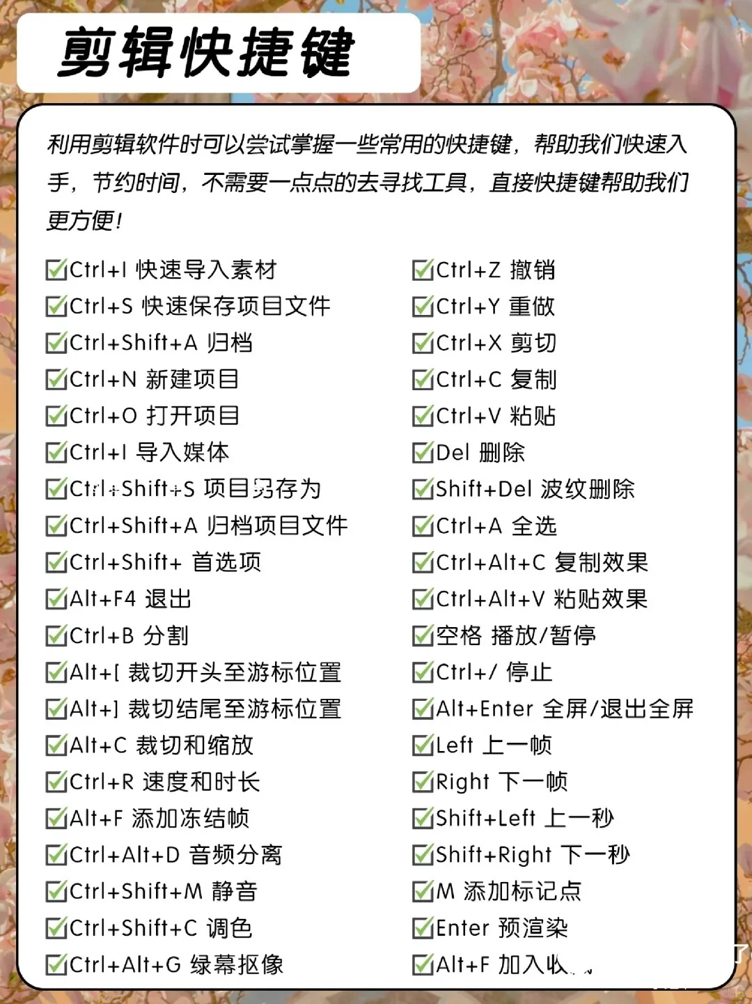‼我不允许你还没有这些自媒体人常用网站