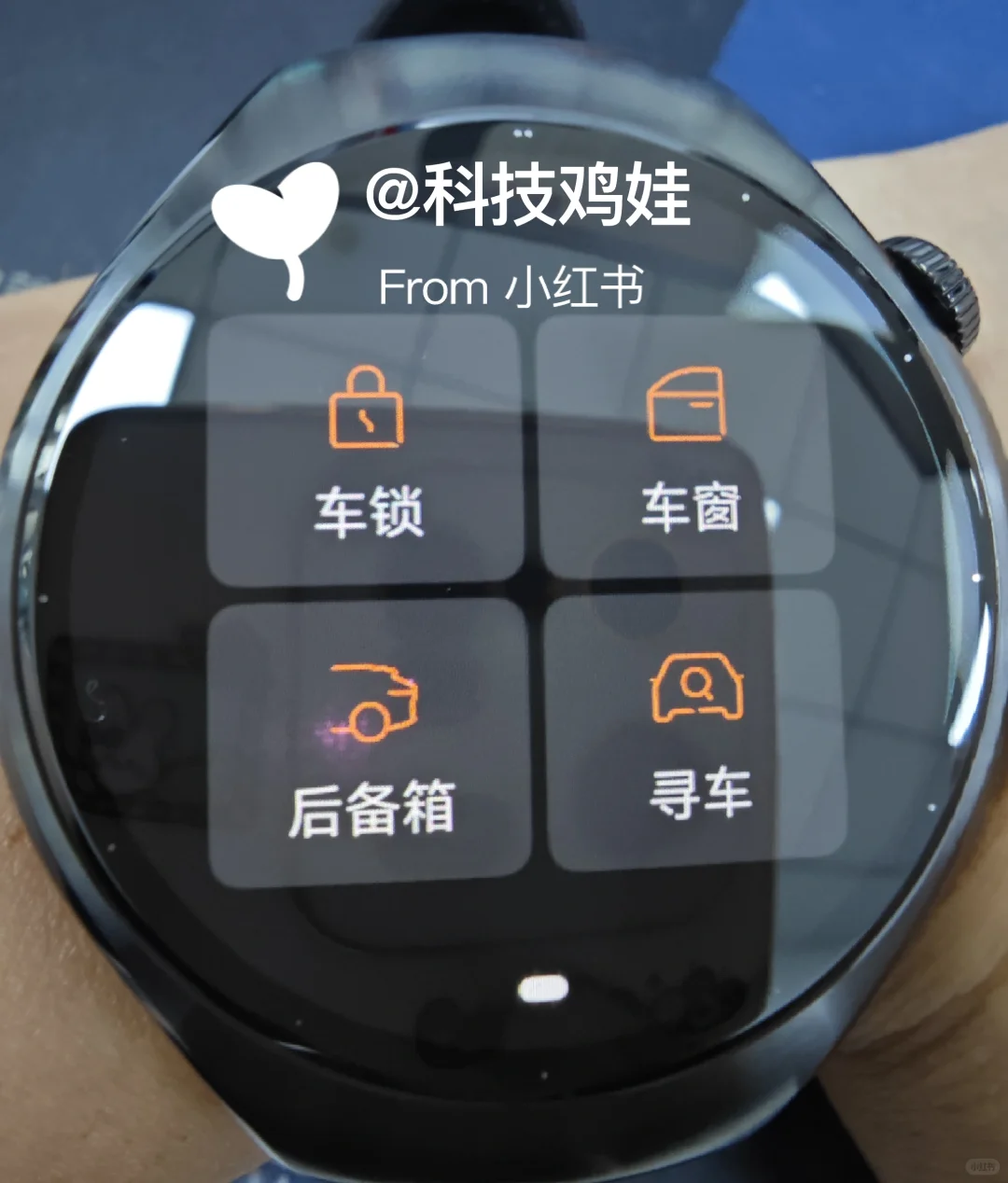 华为watch5极氪APP