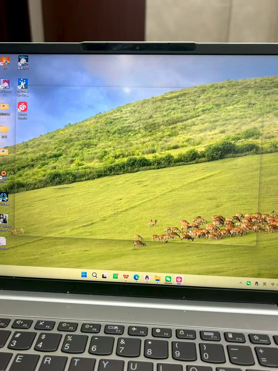 下载了个软件，打开后是这个样子，为什么呢