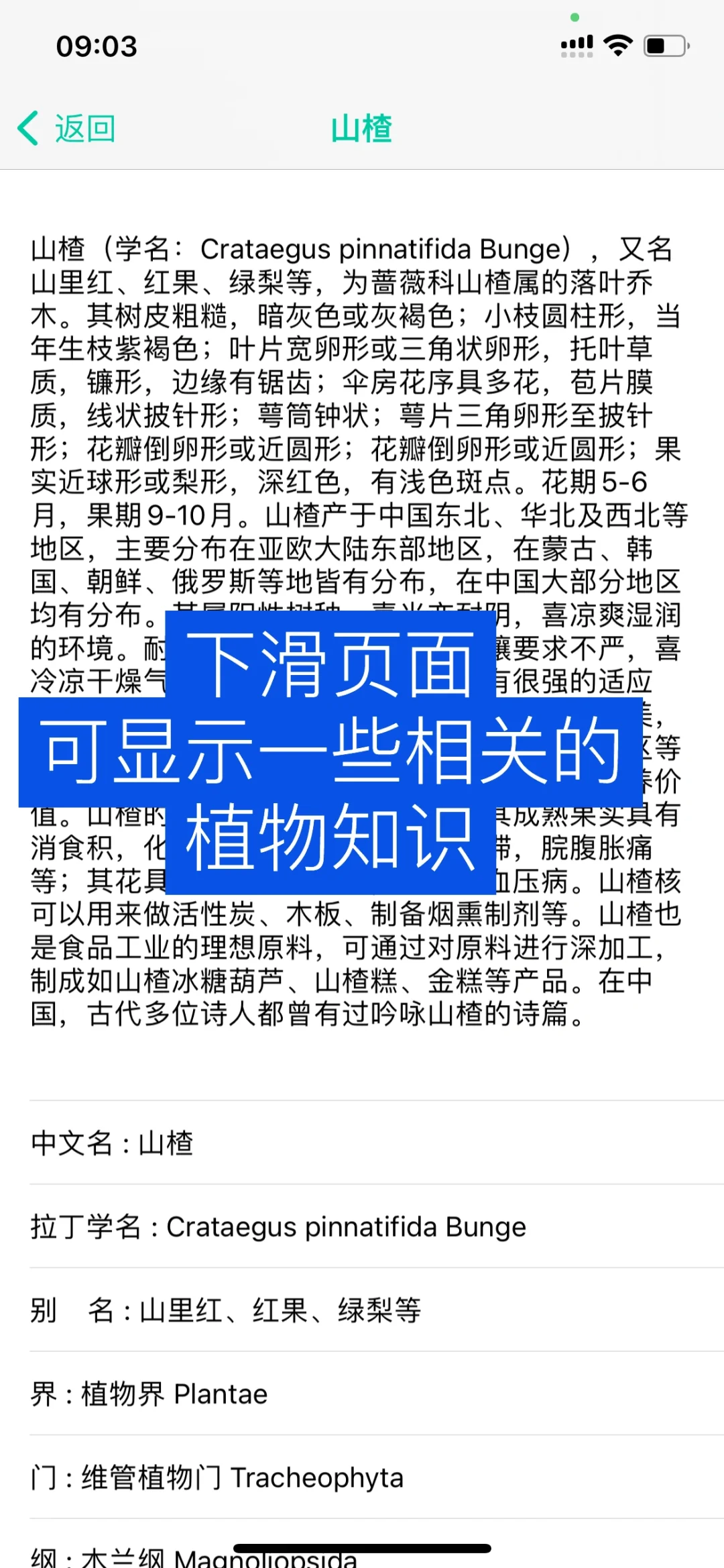 实测｜植物识别app（二）