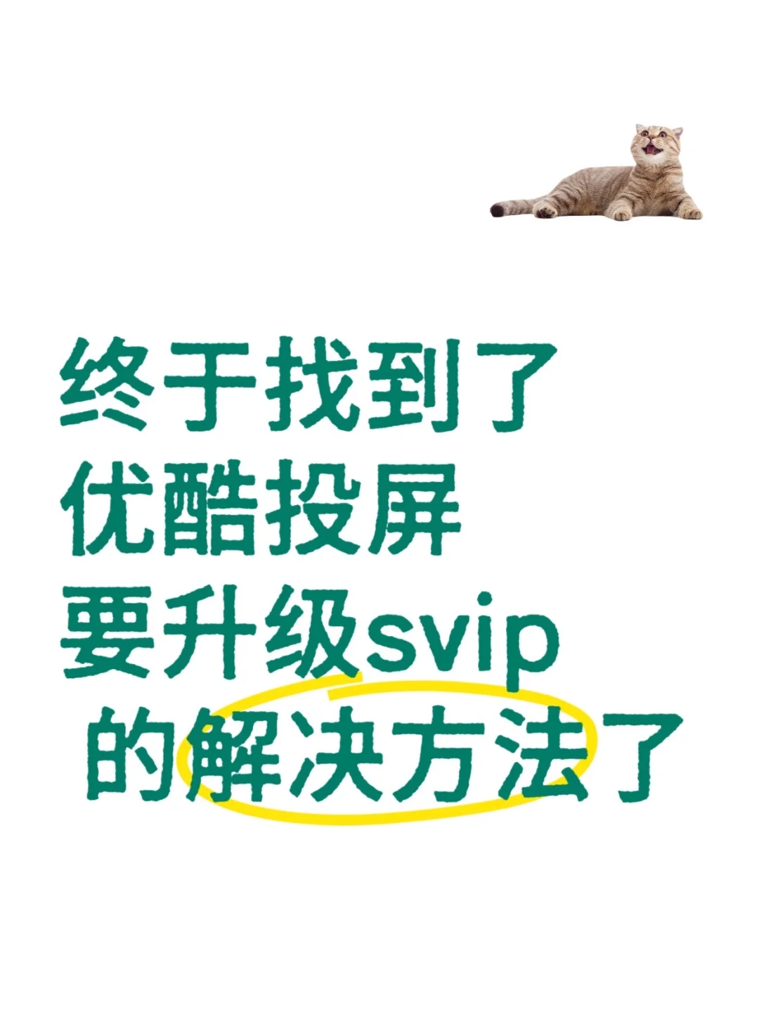 酷喵电视端会员🈷️12.8真香～