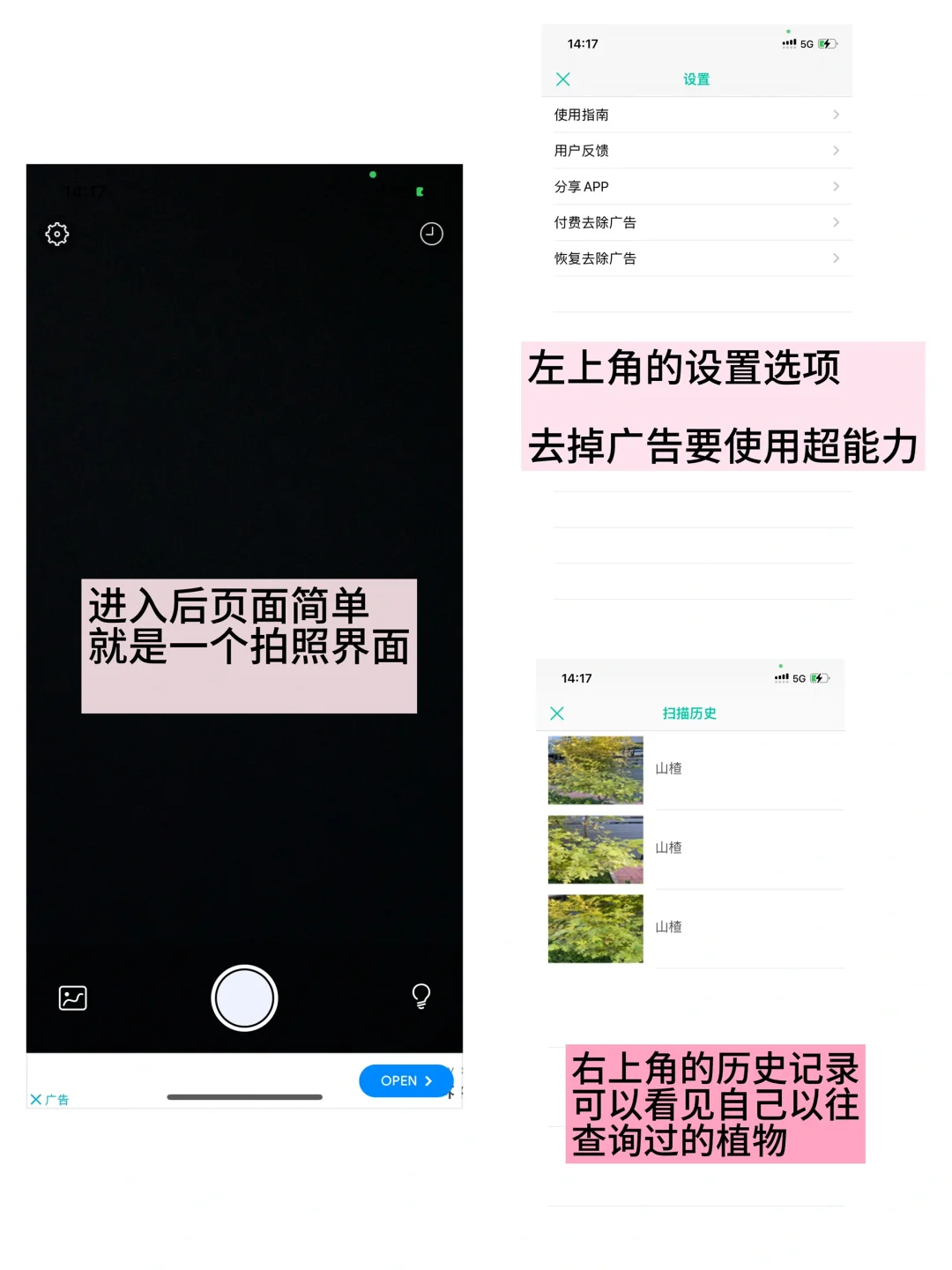 实测｜植物识别app（二）