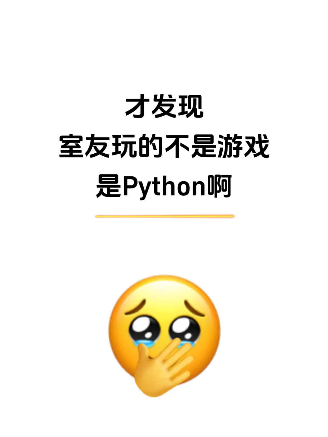 原来室友每天凌晨玩的不是星露而是Python啊