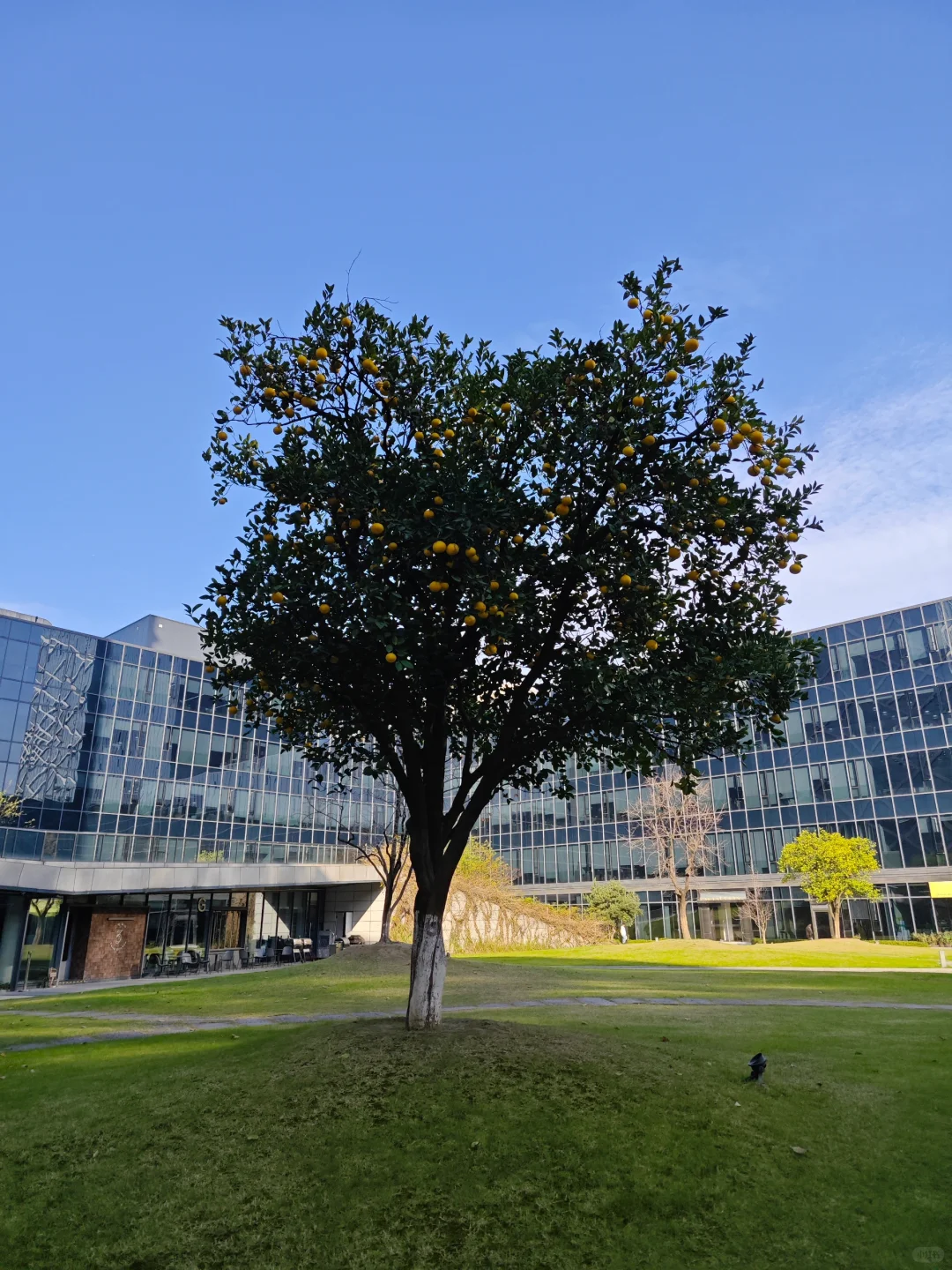 如何找到一家靠谱的软件开发公司？