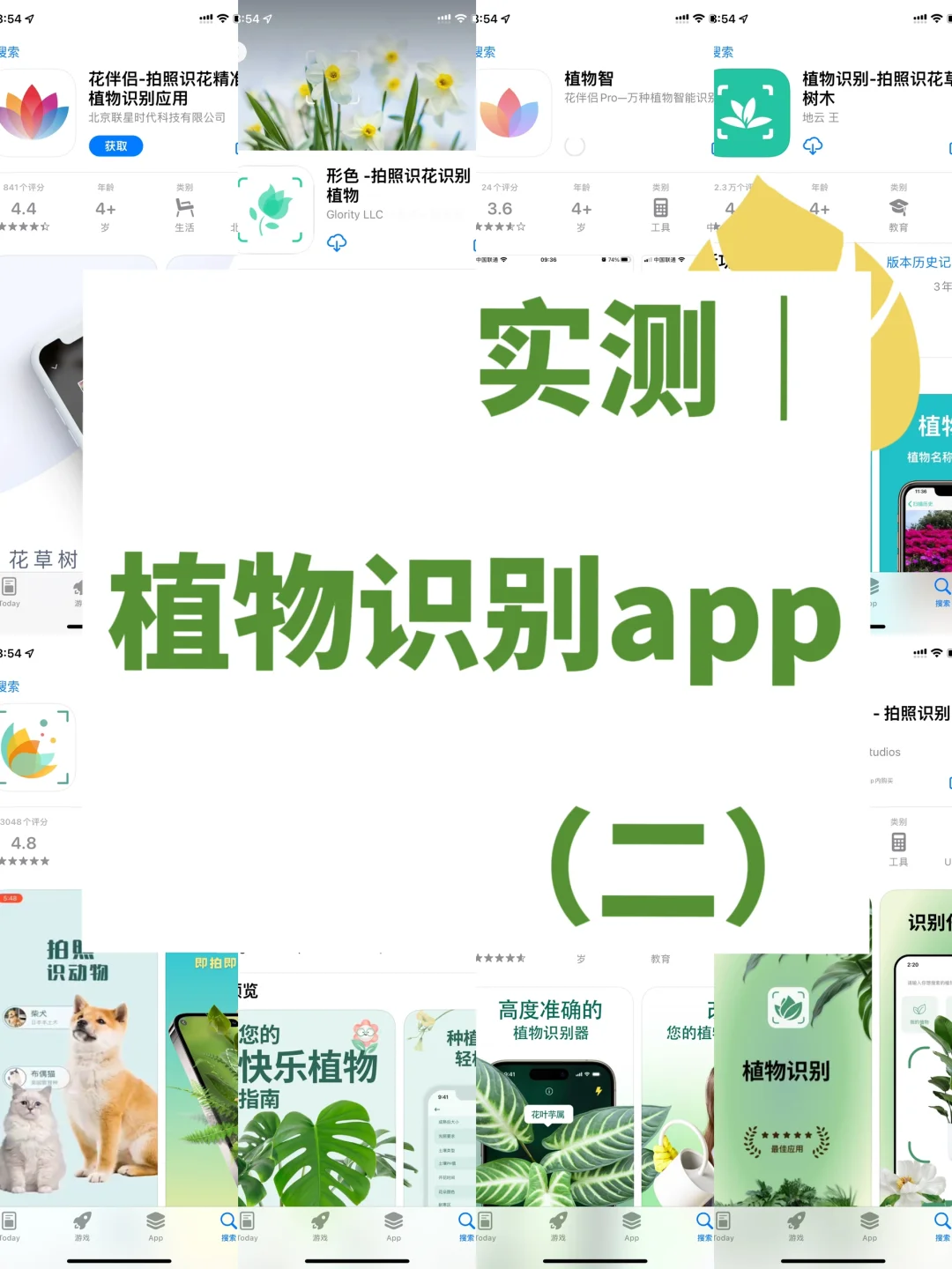 实测｜植物识别app（二）