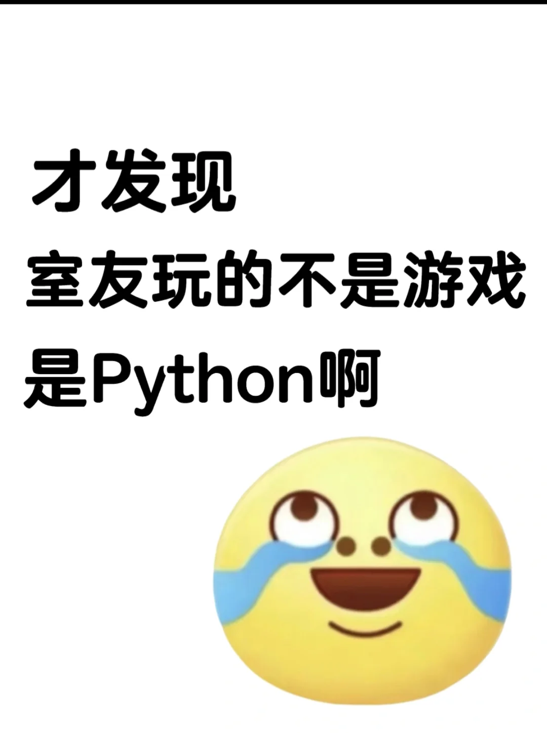 原来室友每天凌晨玩的不是星露而是Python！