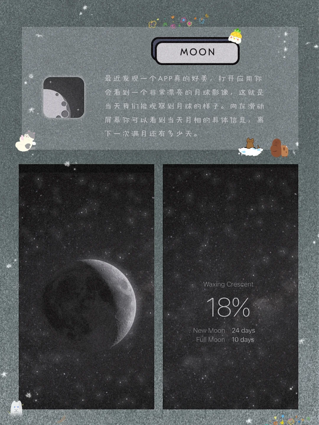 私藏！8款良心实用的小众APP