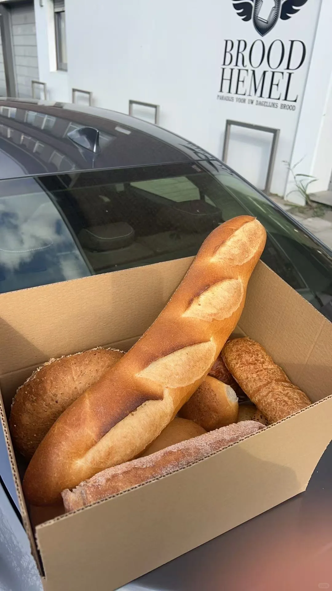 不浪费食物又省钱的绝世好APP