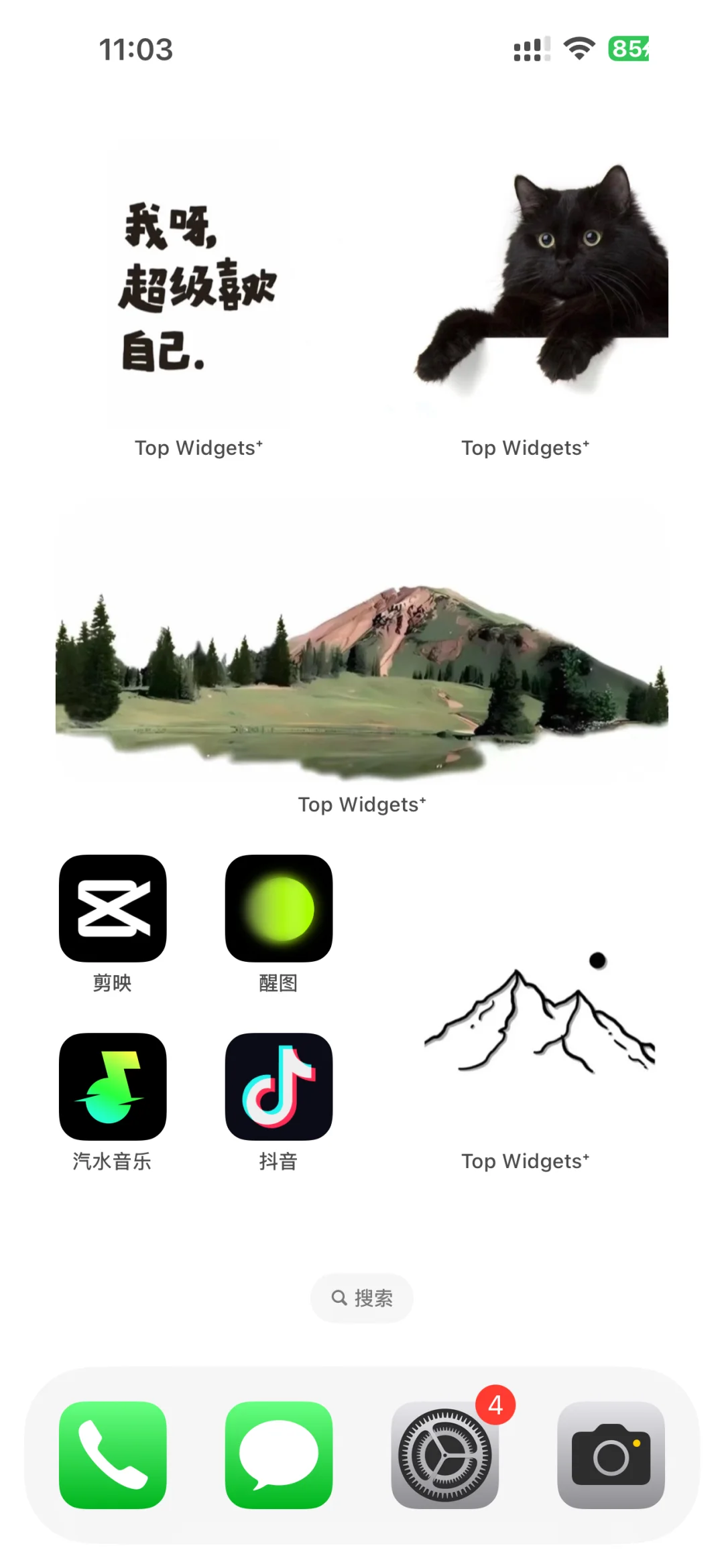 我真的好喜欢我的桌面小插件