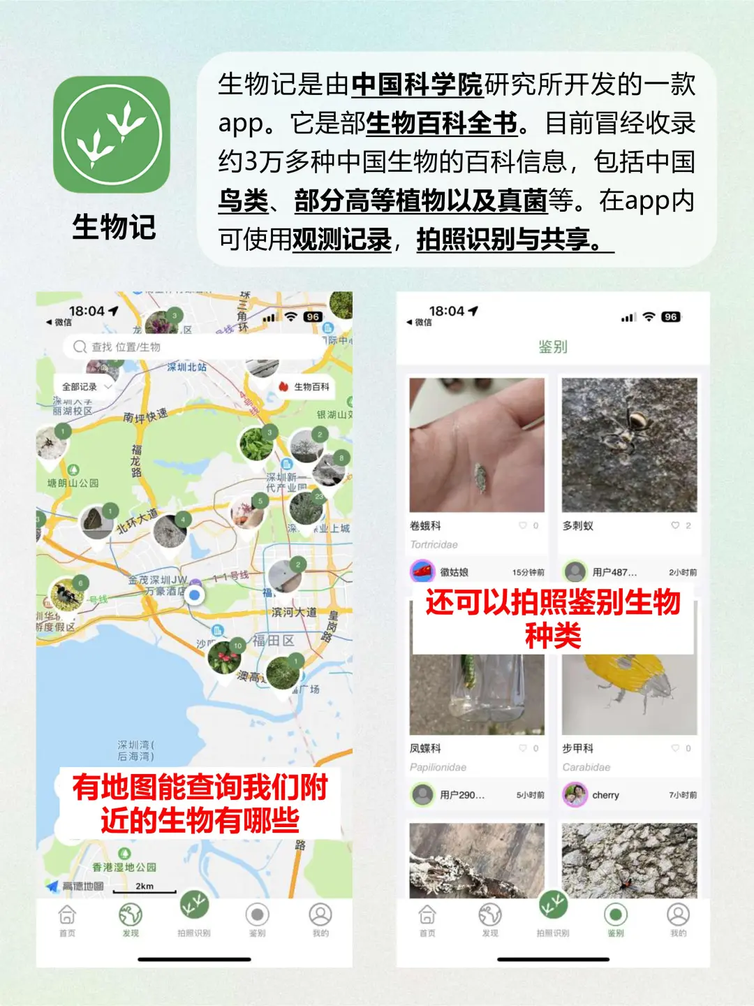 个顶个有趣❗❗6款适合高质量独处的宝藏APP