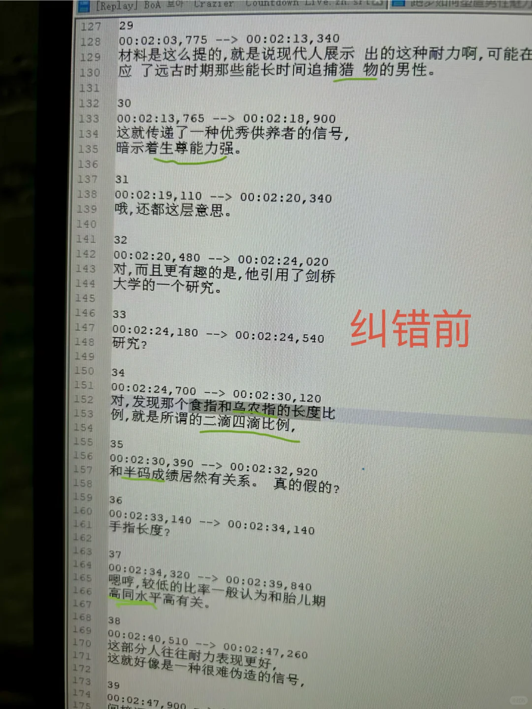 写了个字幕纠错软件（已上传网盘）