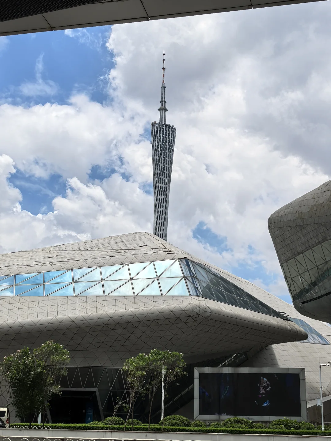 管理咨询实习！