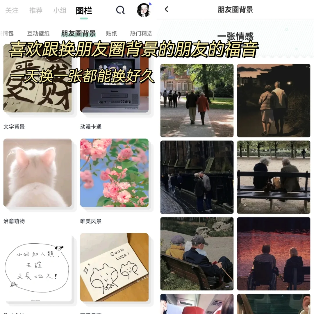 有了它再也不用到处找头像壁纸