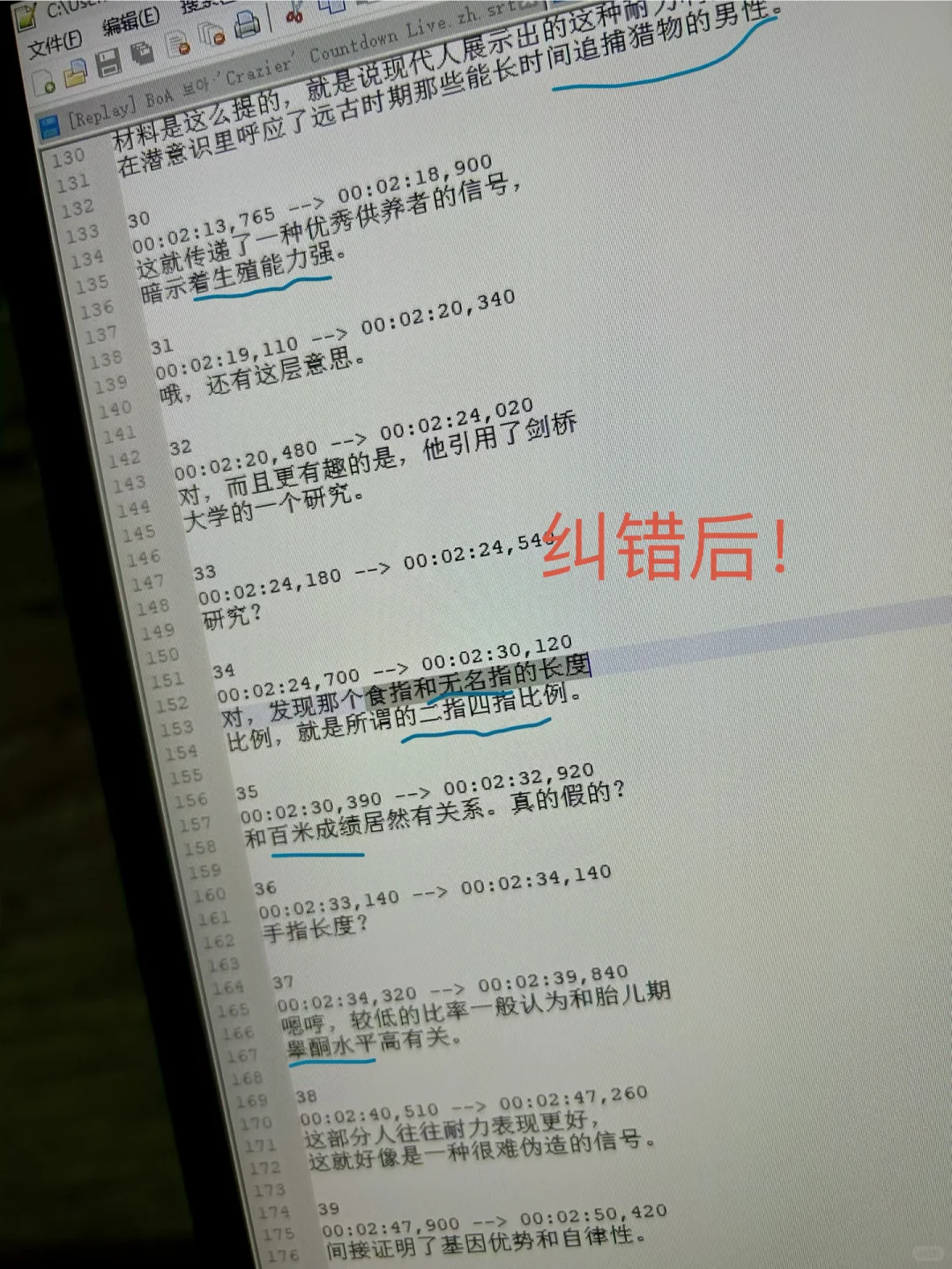 写了个字幕纠错软件（已上传网盘）