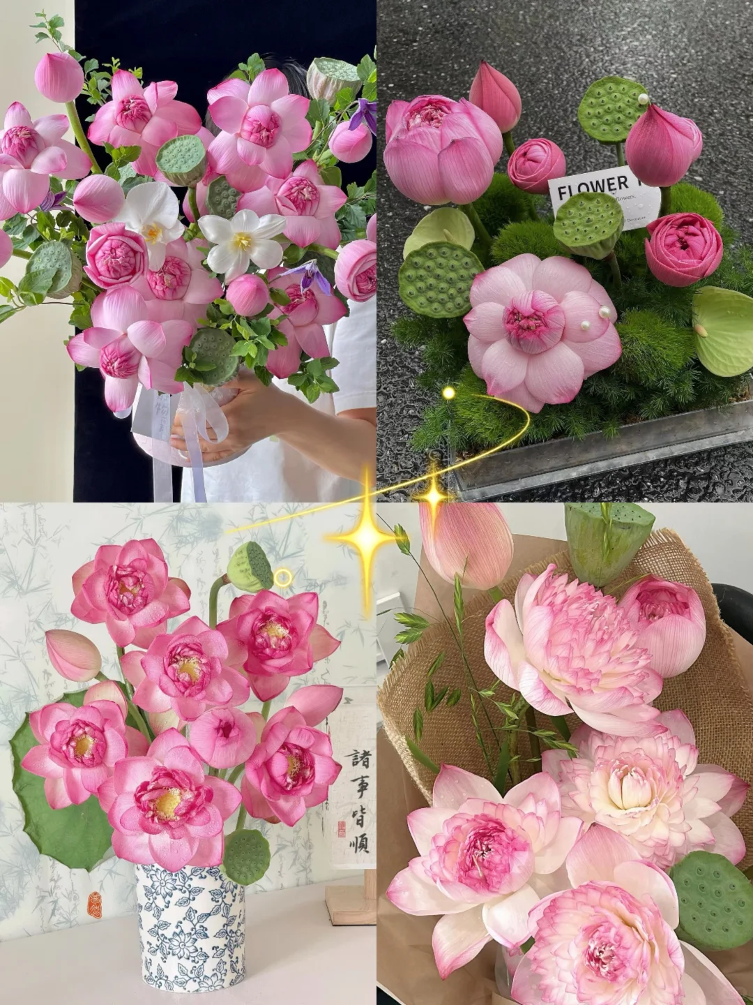 dazz免费版相机都在用，你还在等什么！