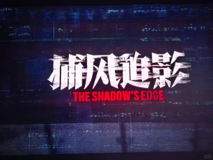 《捕风追影》真的很好看好爽啊！！！