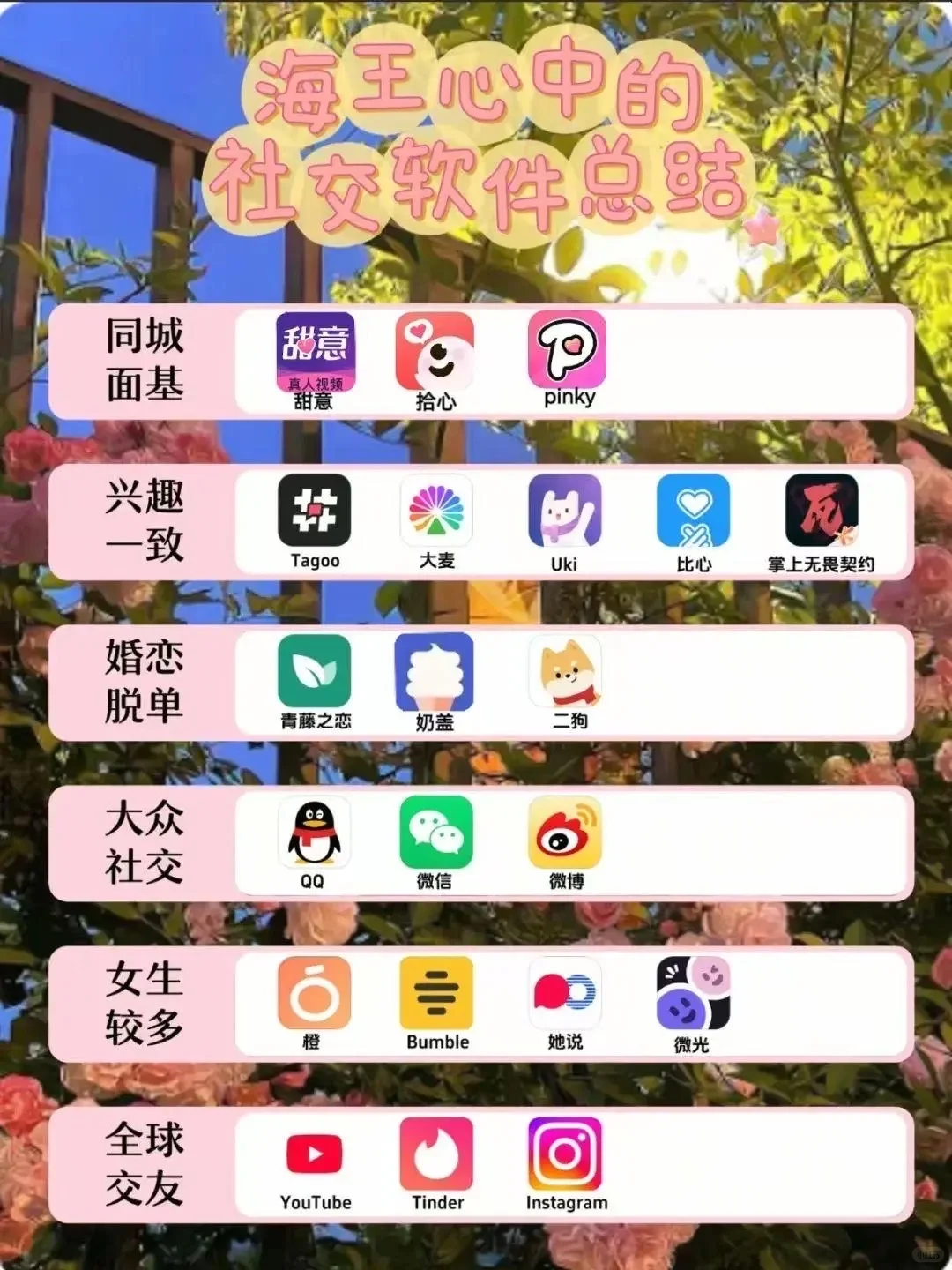 海王心中的社交软件总结