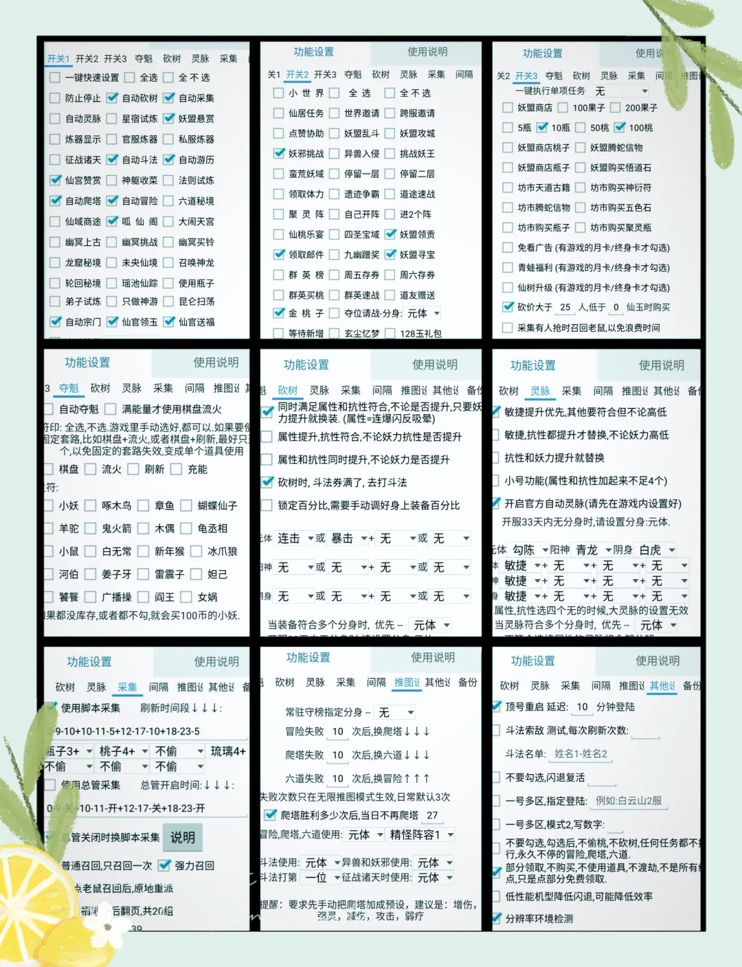 寻道大千多功能脚本