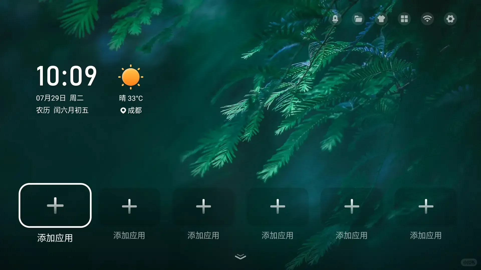 今日野草助手最新分享码