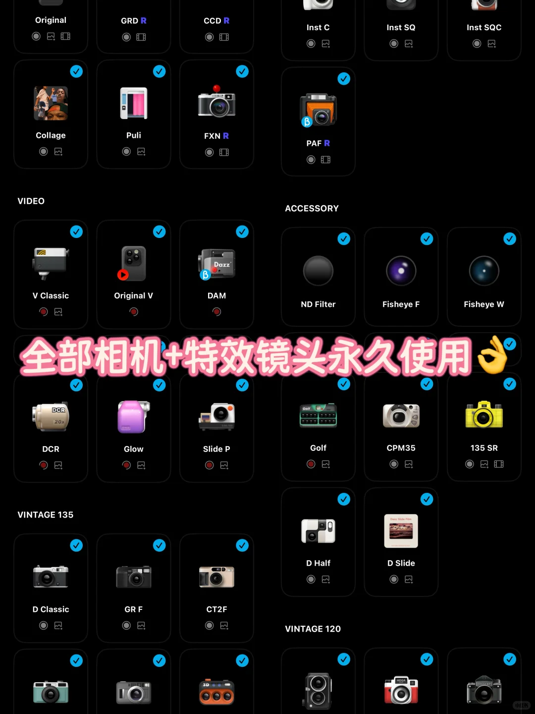 Dazz会员🔥0.5 折！！