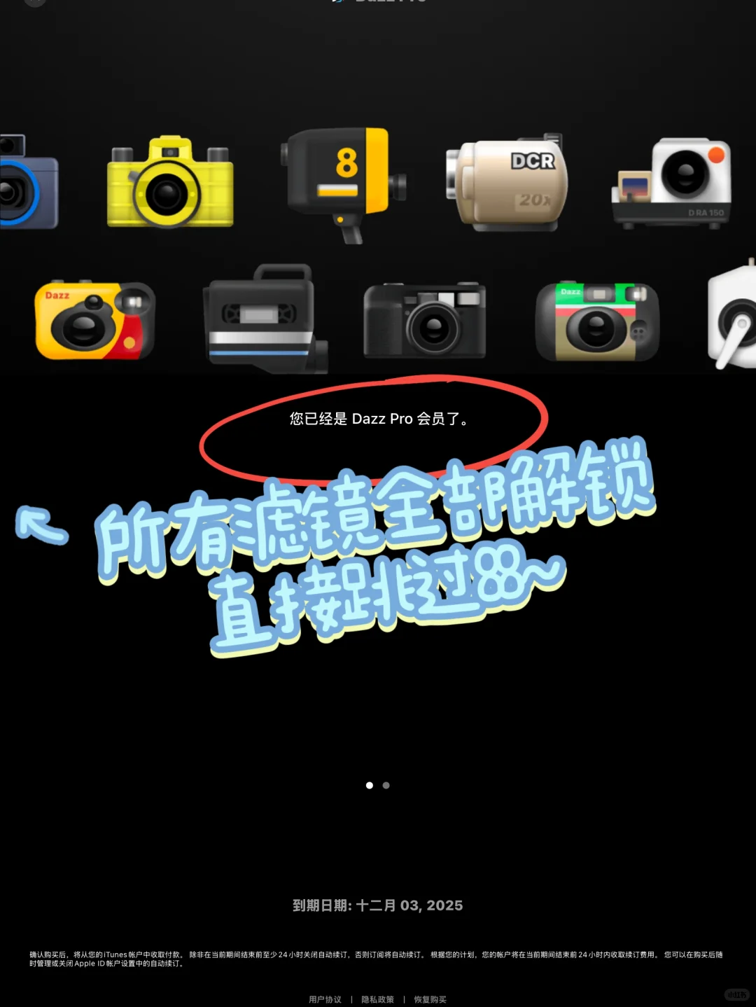 dazz免费版相机都在用，你还在等什么！