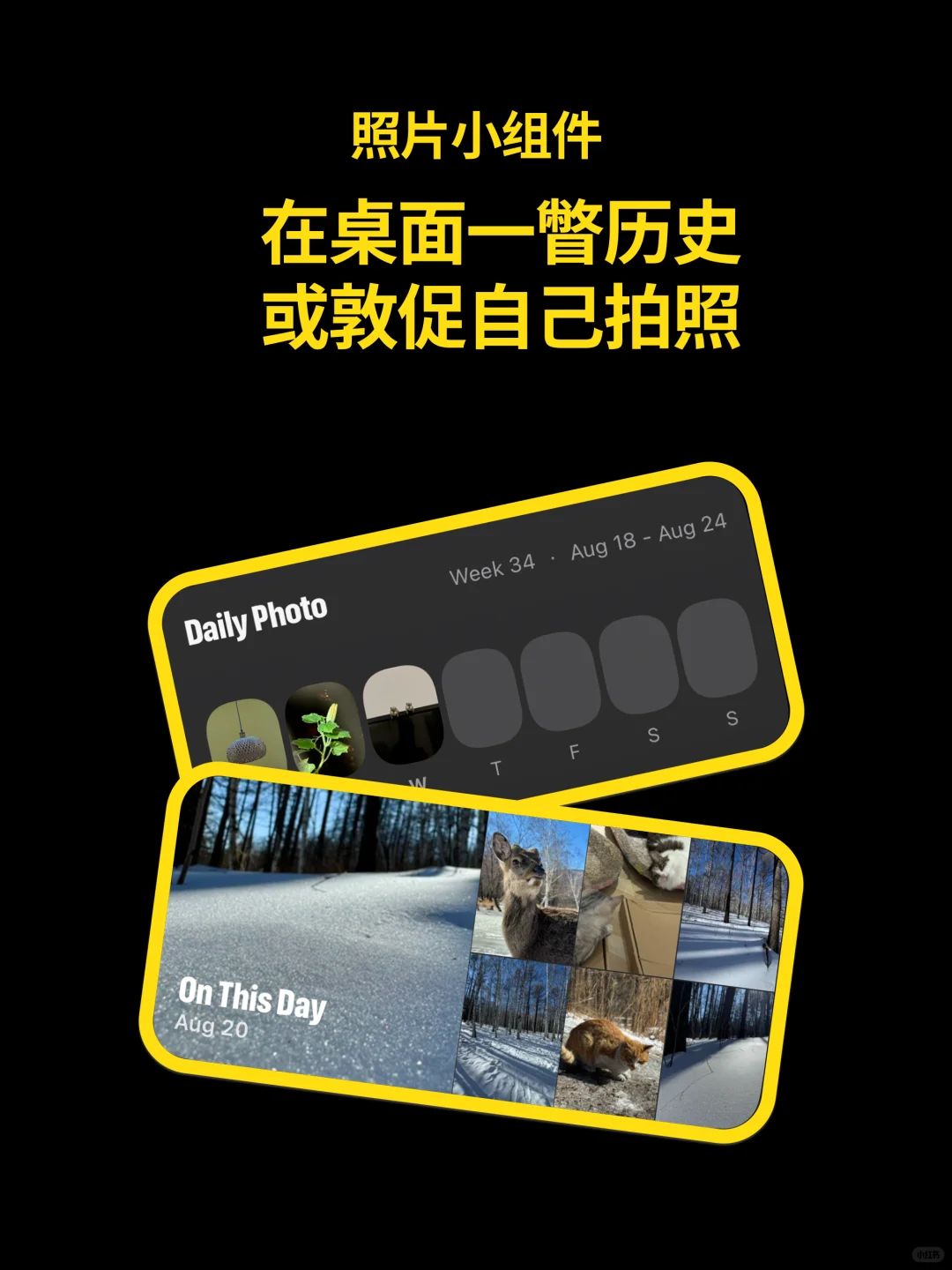 上线啦！Odays，你的历史今日相册