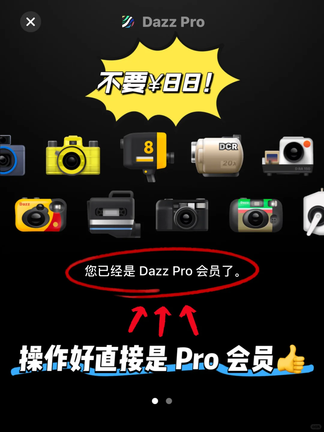 Dazz会员🔥0.5 折！！