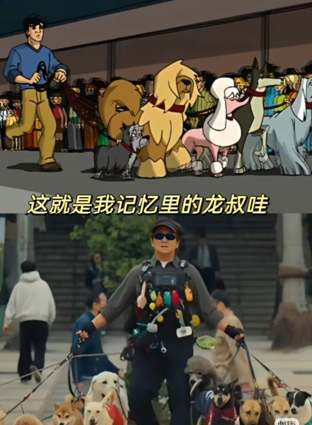 《捕风追影》真的很好看好爽啊！！！