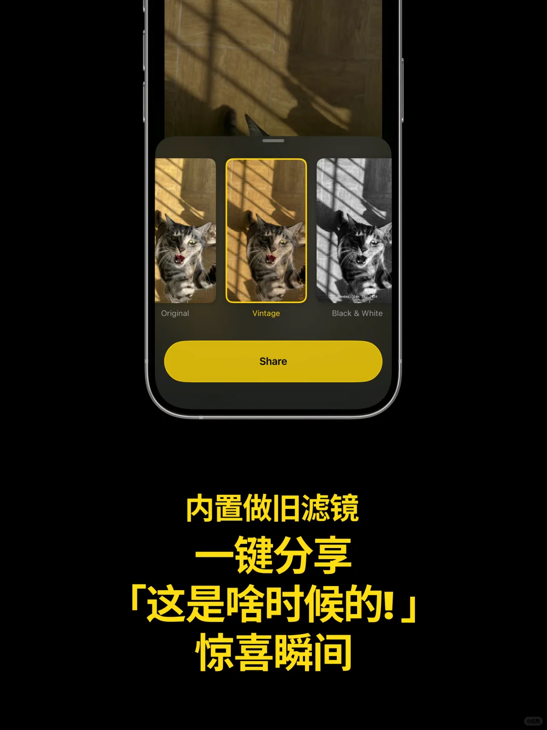 上线啦！Odays，你的历史今日相册