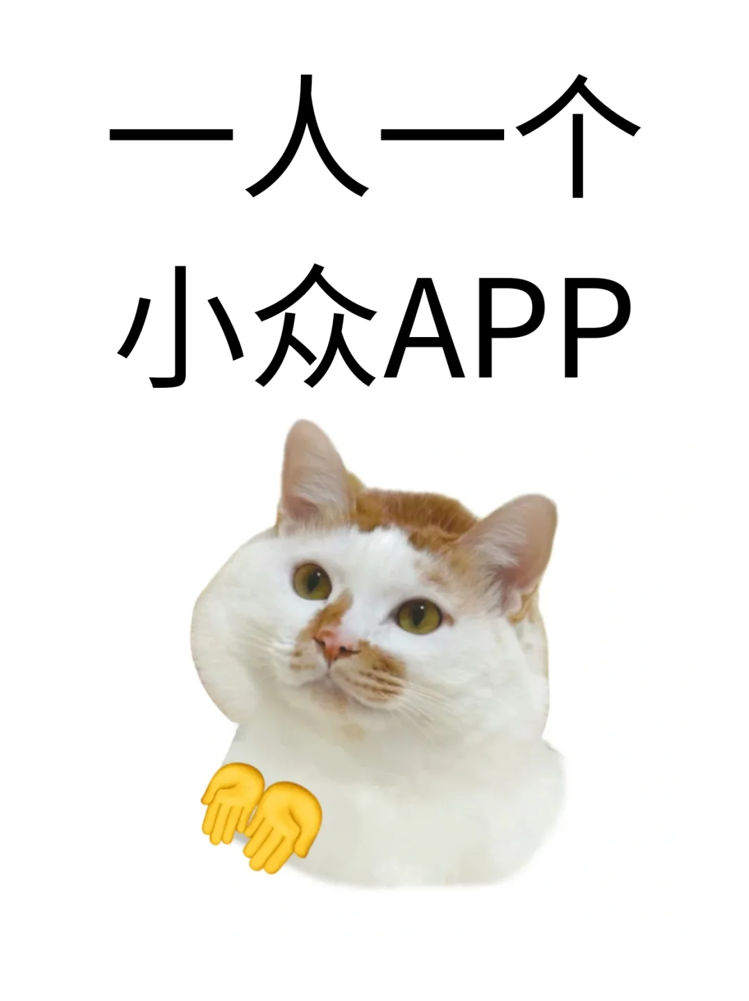 跪求小众宝藏APP