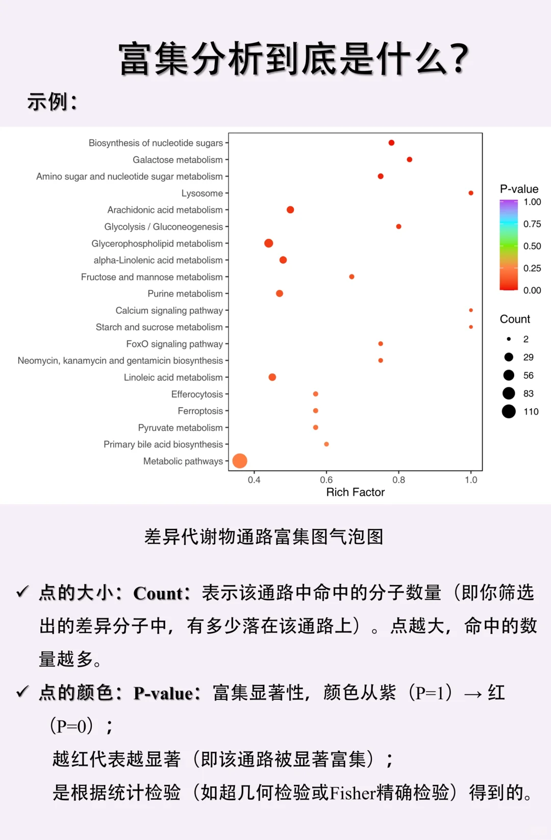 富集分析到底是什么？