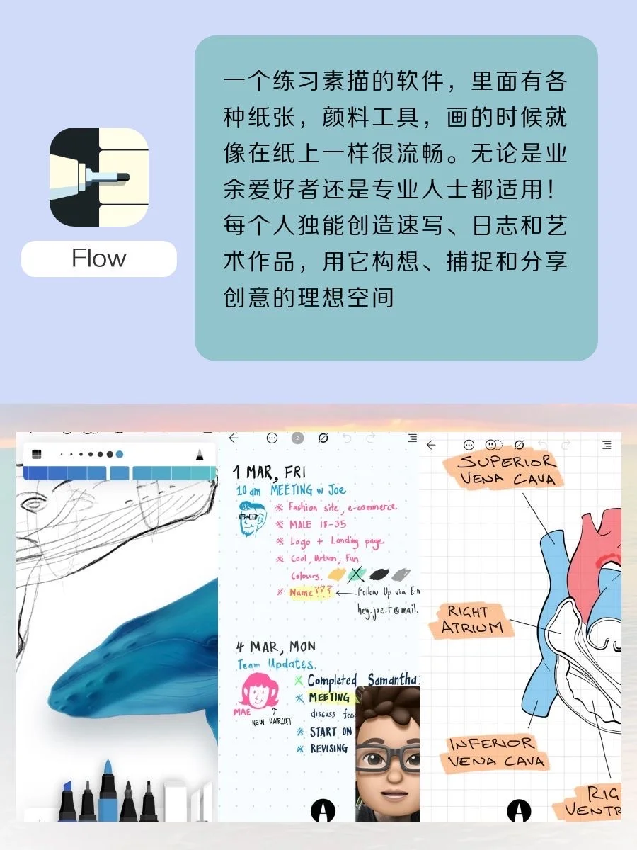 拒绝暑假摆烂有效内卷‼️高效成长APP‼️