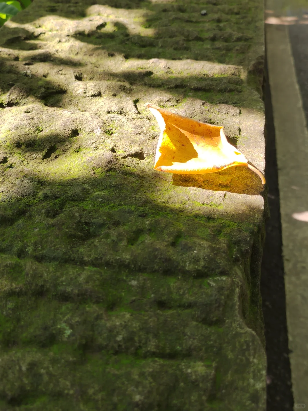 Axwoman插件现在有适合ArcGIS10.8的版本吗