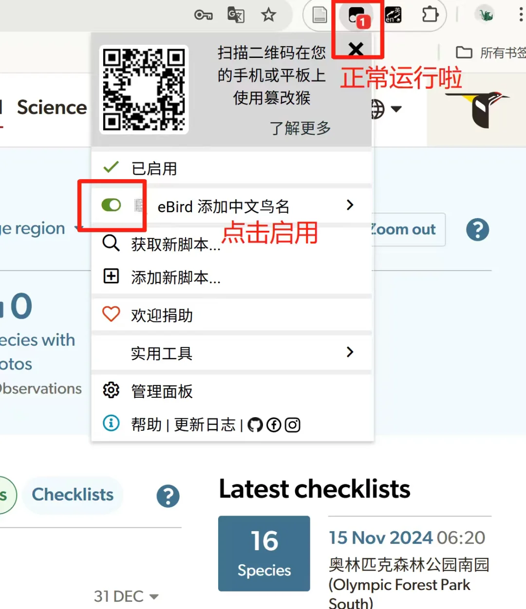 🧑‍🏫｜eBird中英文鸟名对照插件使用教程