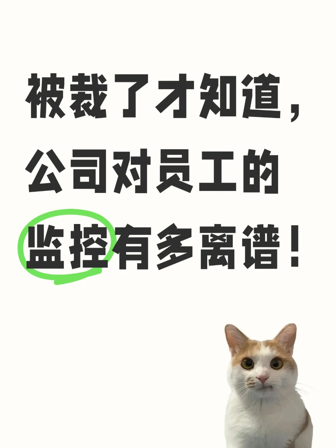 被裁了才知道,公司对员工的监控有多离谱!