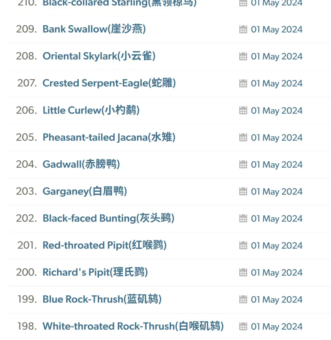 🧑‍🏫｜eBird中英文鸟名对照插件使用教程