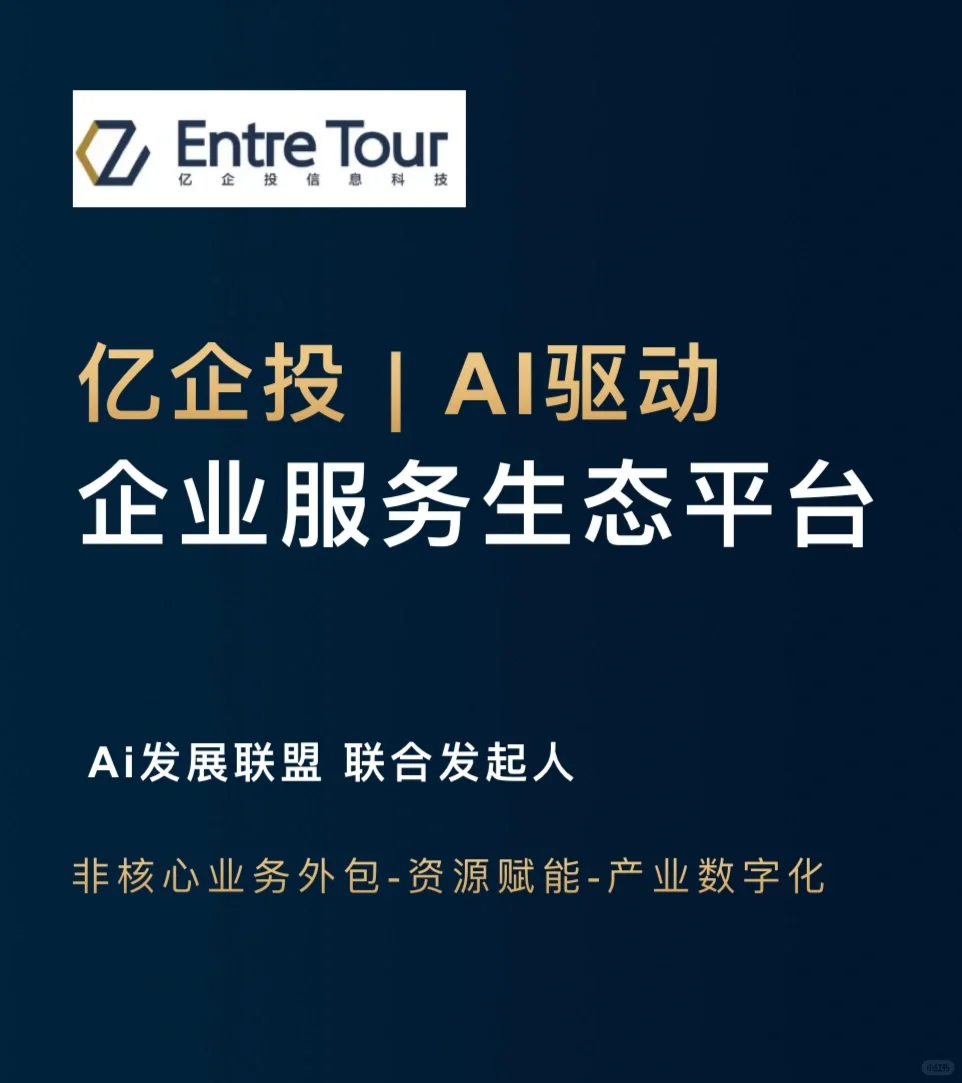 信息技术咨询服务