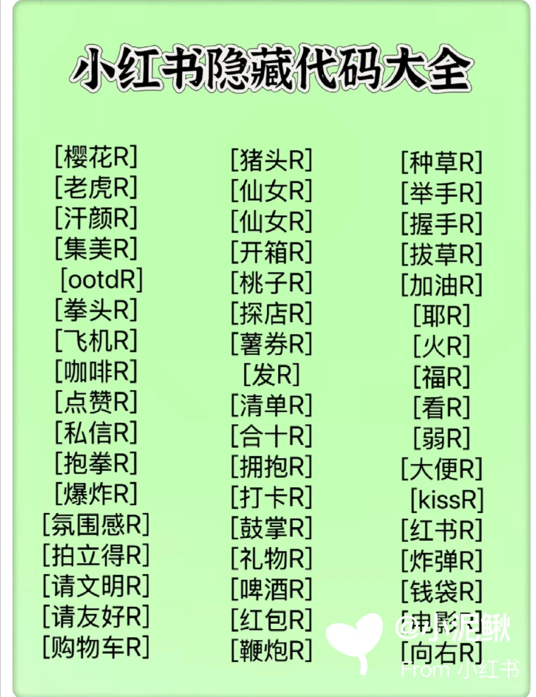 分享一些小红书隐藏代码大全