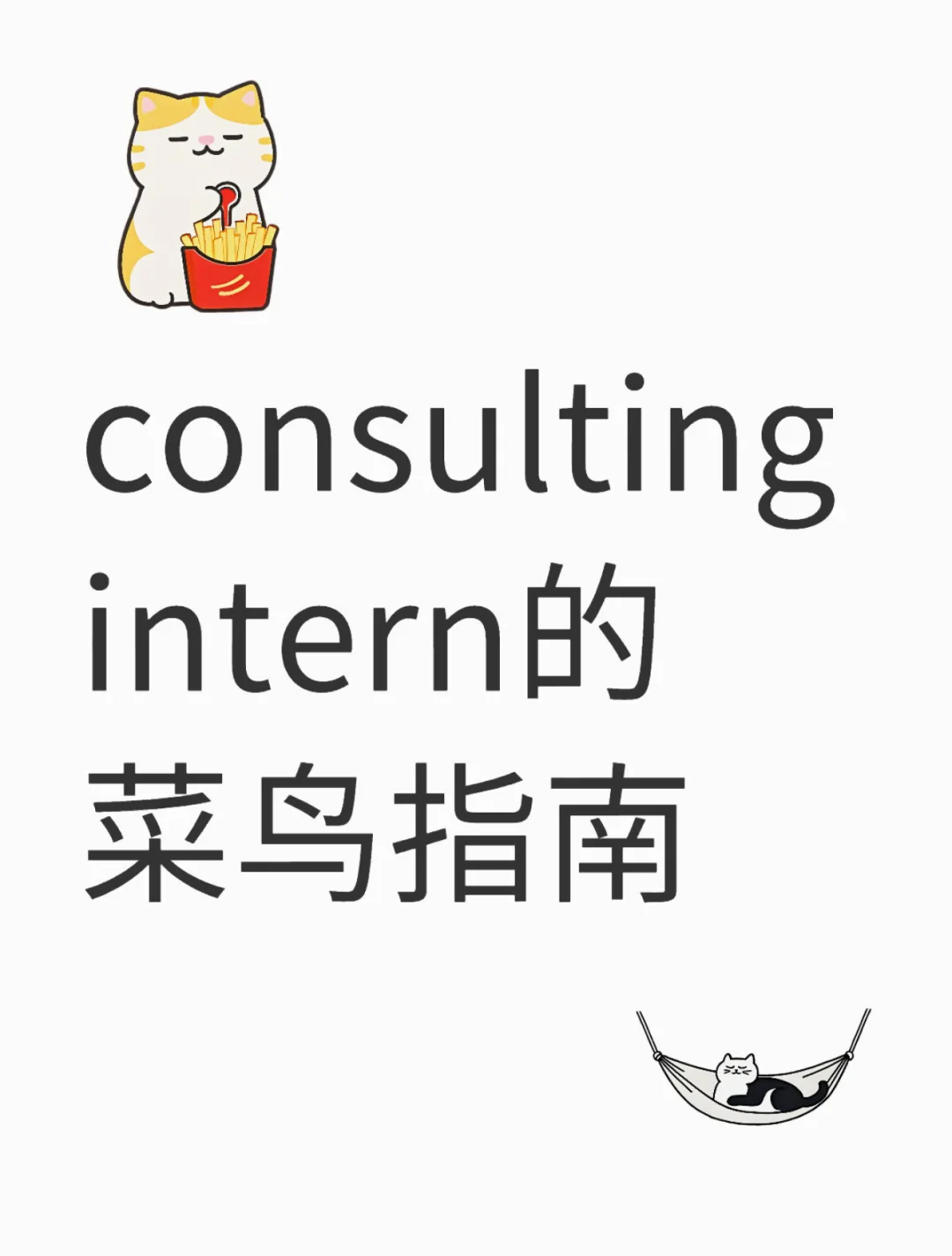 来自consulting intern的菜鸡指南🥬📖