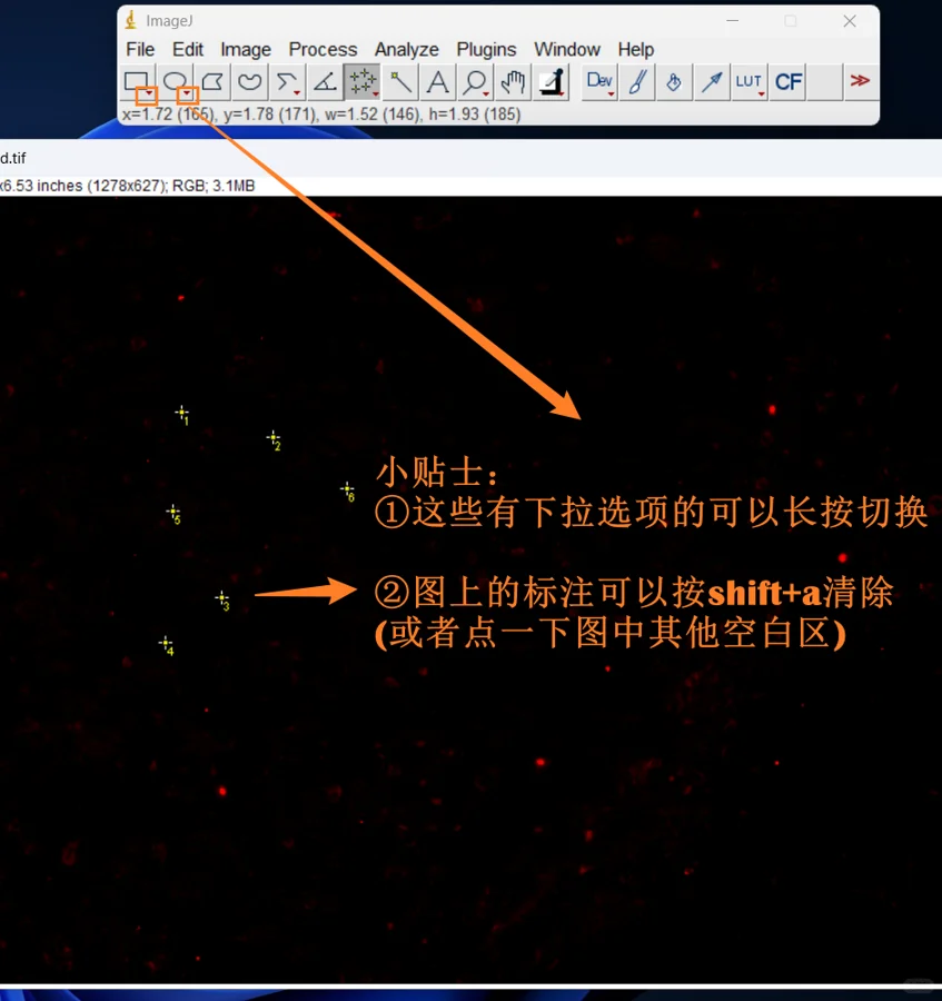 🔧ImageJ虚线插件保姆级安装与使用教程