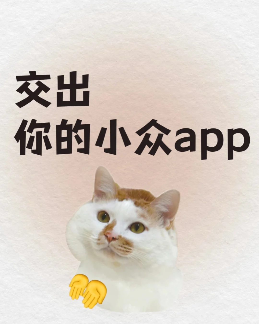 交出你的 小众app