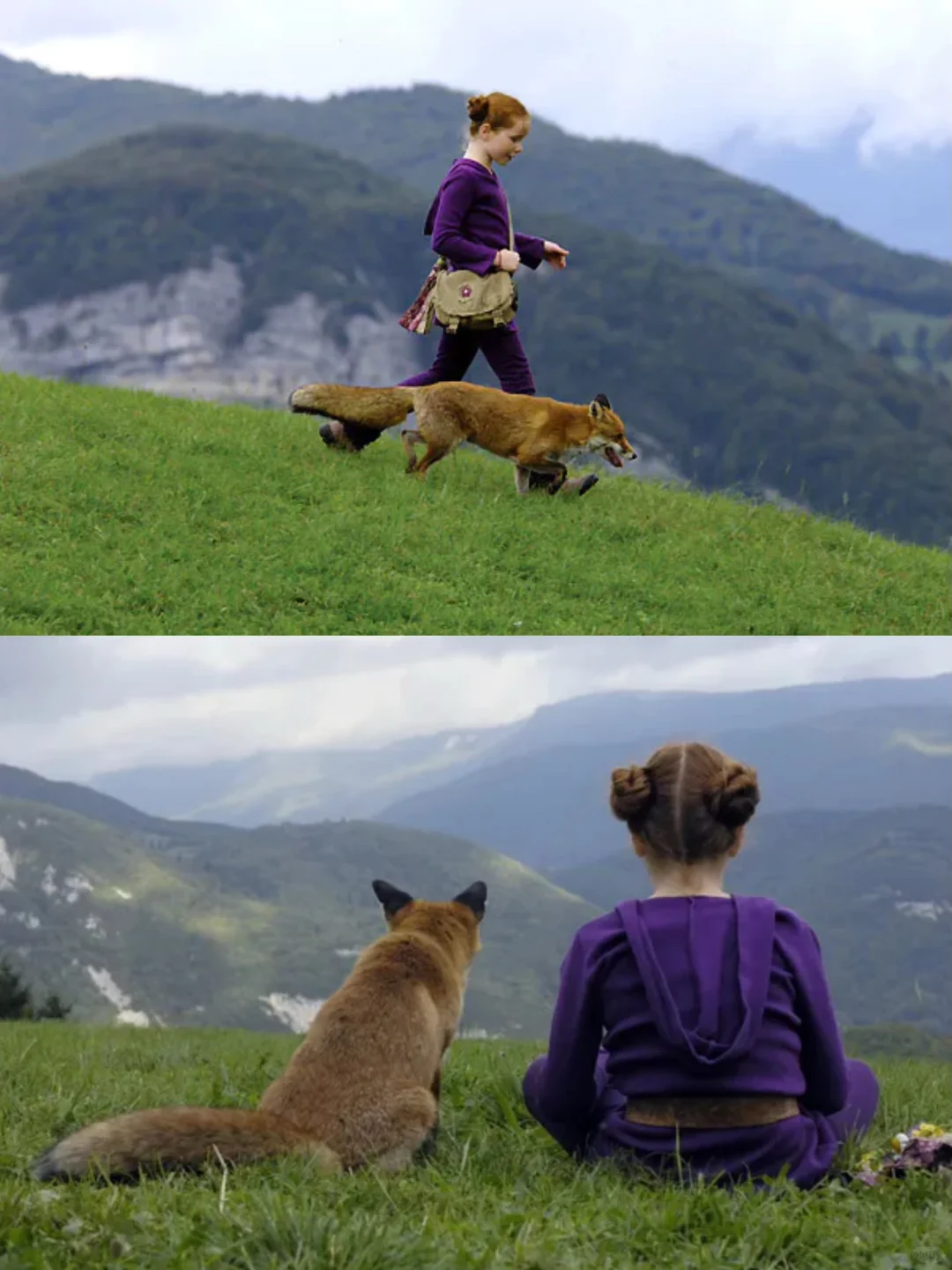 心情不好时就去看这9️⃣部电影😭太治愈了‼️