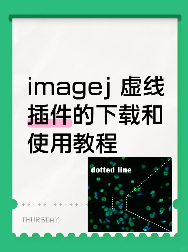 🔧ImageJ虚线插件保姆级安装与使用教程