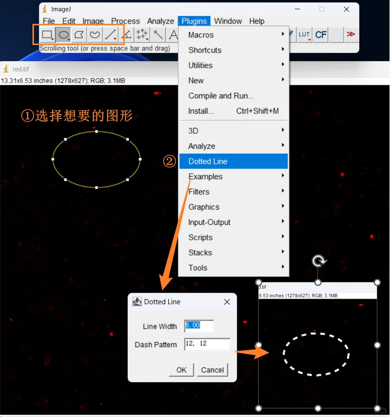 🔧ImageJ虚线插件保姆级安装与使用教程