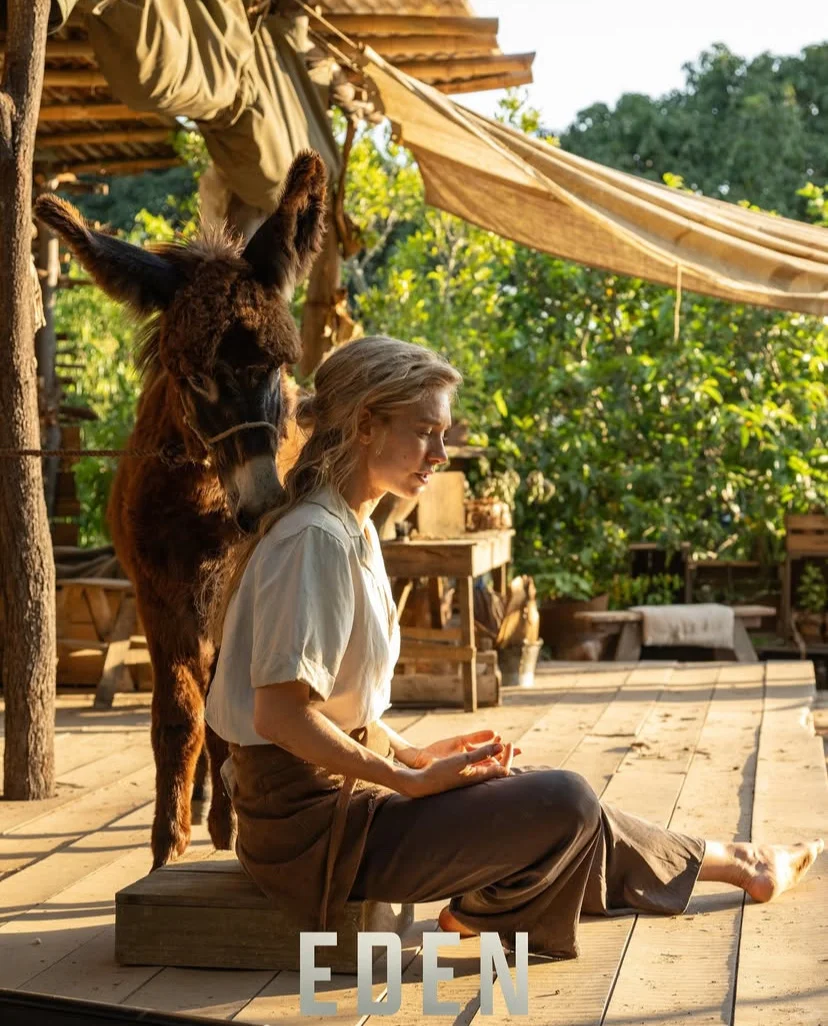 🎬近期看的三部“满分”电影！