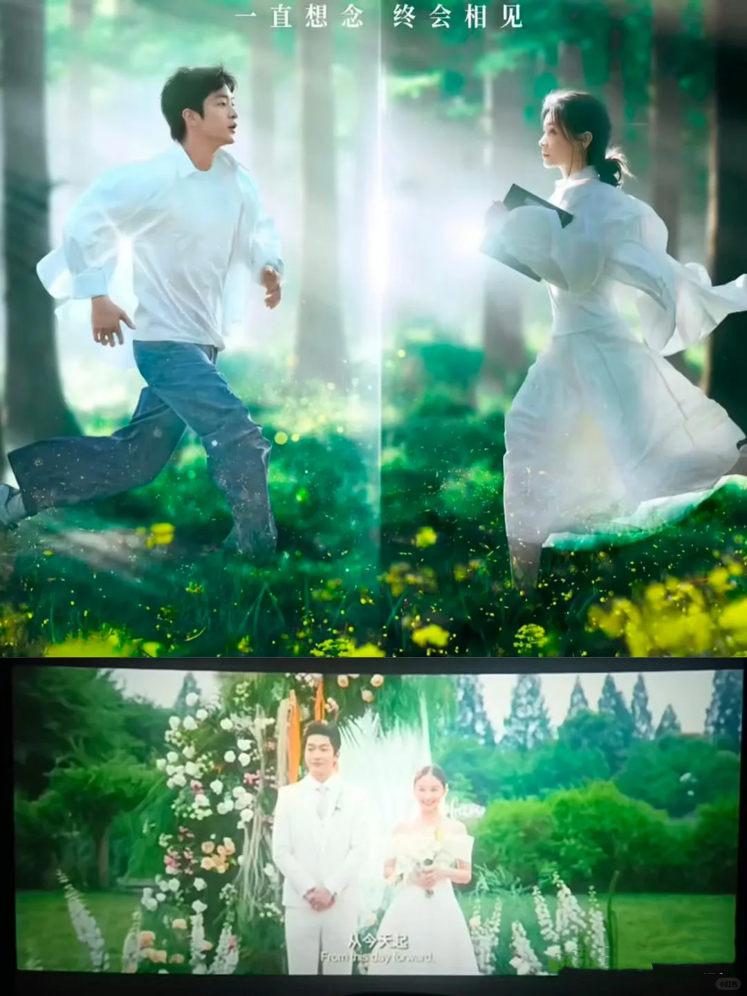 💘七夕看电影别纠结！跟我选绝对不踩雷！🎬